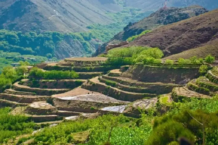 Terrazzamenti coltivati in una valle dell’Alto Atlante