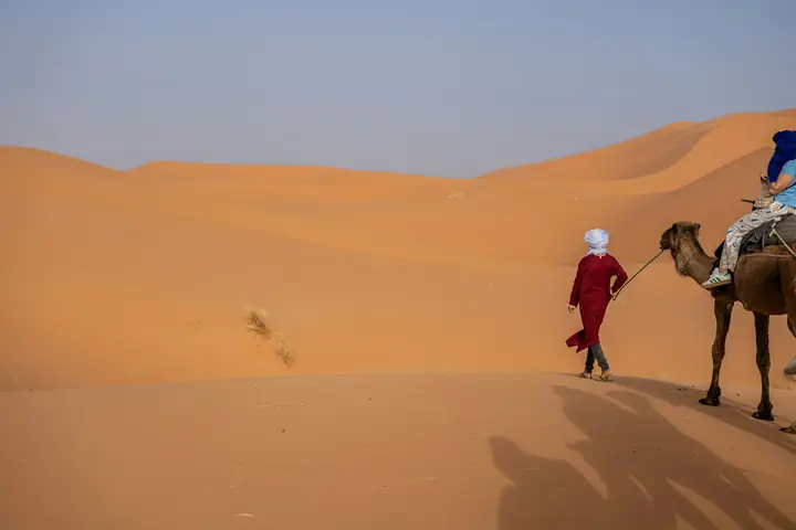 Camello Viaje Berber guide leading a camel through the dunes