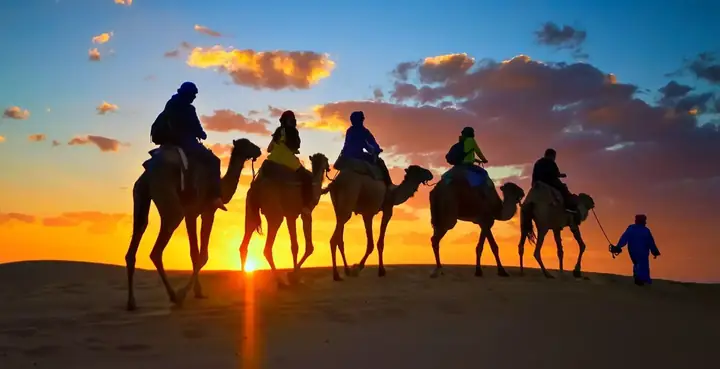 Camel caravan at sunset in the Sahara