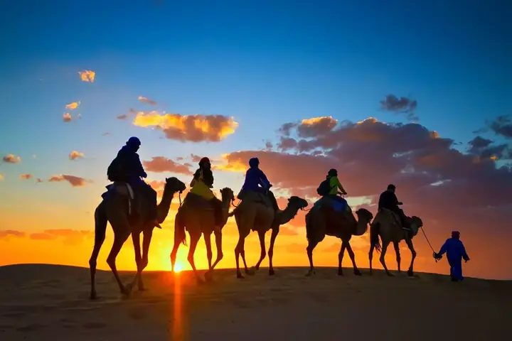 Silhouettes of a camel caravan at sunset in Merzouga