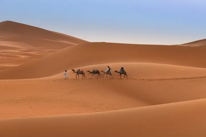 Tiny caravan among the great dunes of Merzouga