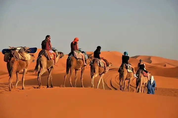 Camel caravan in the dunes of Erg Chebbi