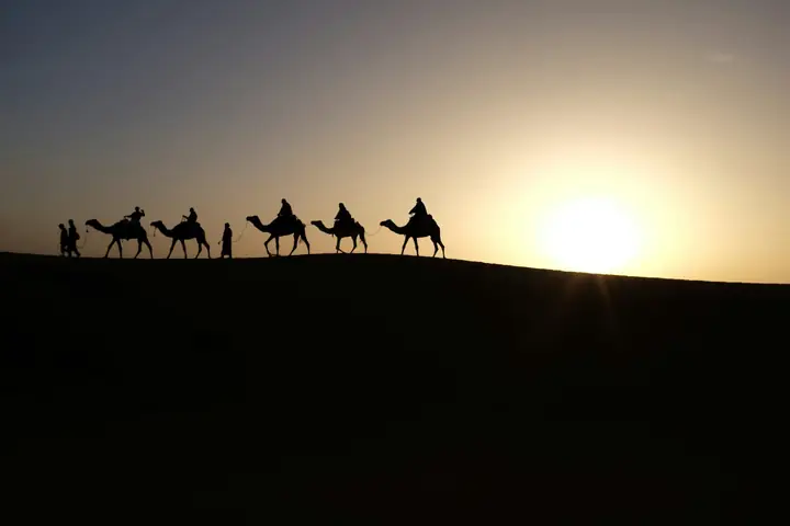 Cammelli all’alba in controluce a Merzouga