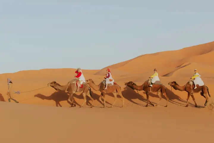 Carovana di cammelli con coperte colorate che attraversa le dune