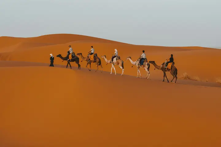 Carovana di dromedari che avanza su dune dorate