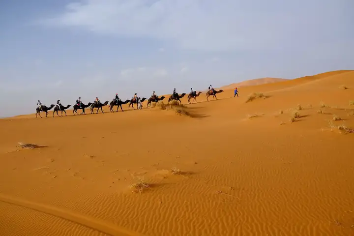 Lunga carovana di dromedari che attraversa il Sahara
