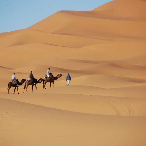 3 días de Marrakech al desierto