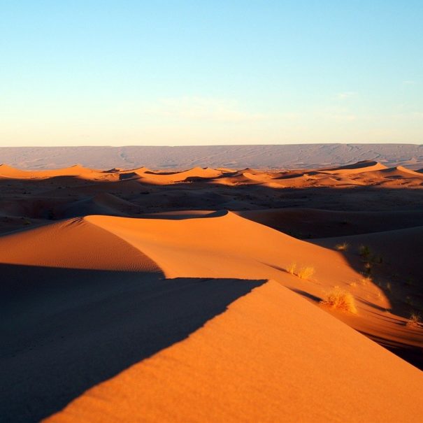 4 días de Marrakech al desierto