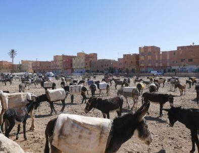 10 días desde Tanger a Marrakech