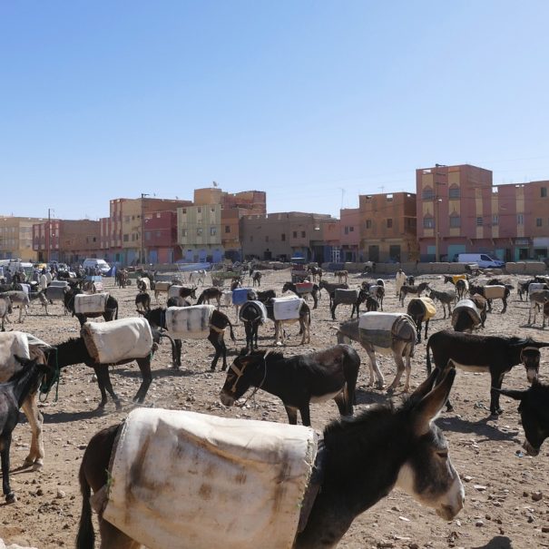 10 días desde Tanger a Marrakech